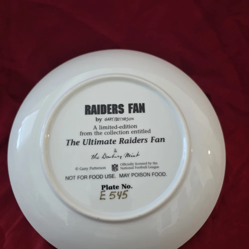 Raiders Themed Decorative Plate - Picture 2 of 2